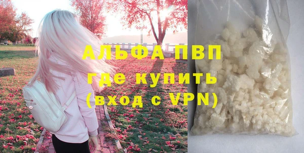 дживик Бородино