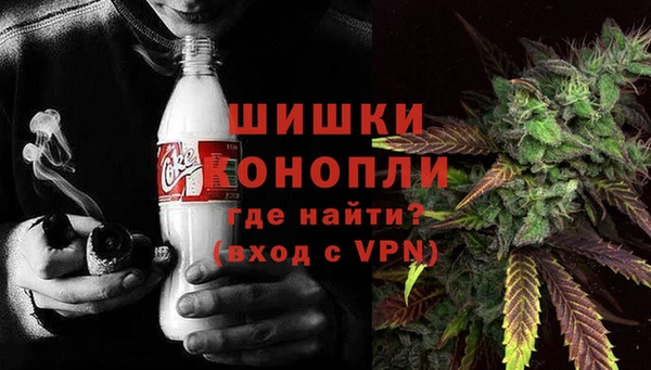 дживик Бородино