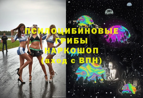 дживик Бородино