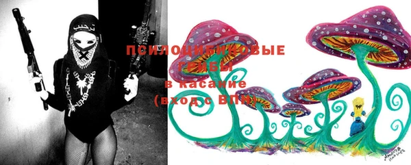 шишки Бронницы